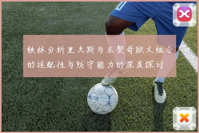 铁林分析里夫斯与东契奇欧文组合的适配性与防守能力的深度探讨